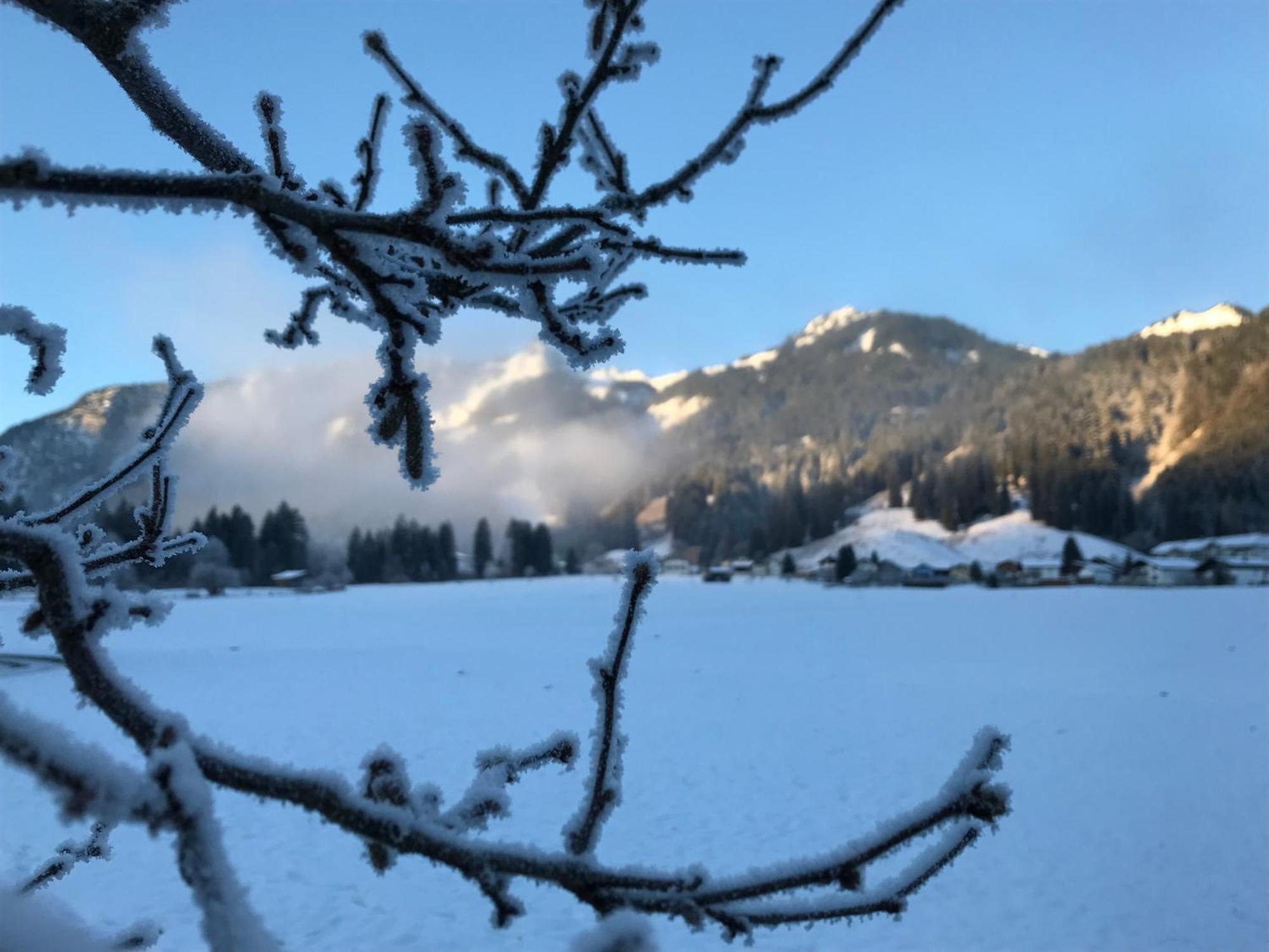 Pension Talblick In Waengle Bei Reutte Exterior photo